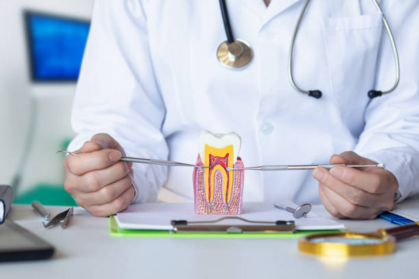 Best Emergency Dentist for Special Needs Patients in Huntingtown, MD